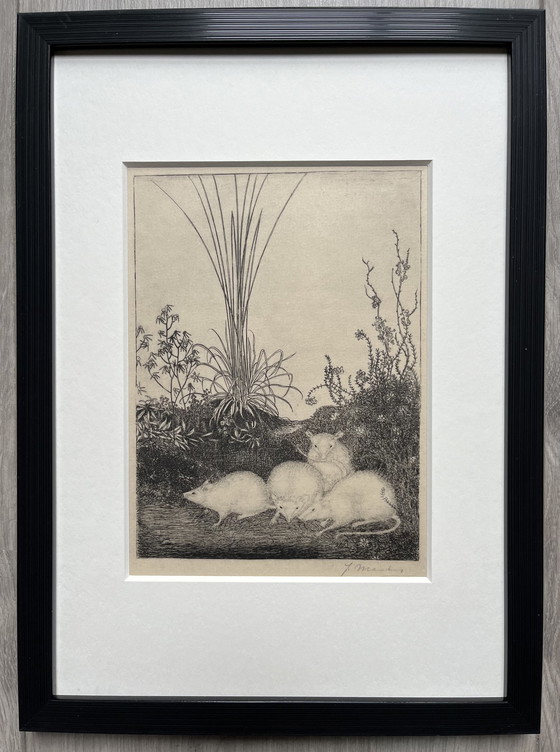 Image 1 of Jan Mankes 1889-1923 / Originele Heliogravure 4 Muizen 1923 (Mooi Ingelijst)