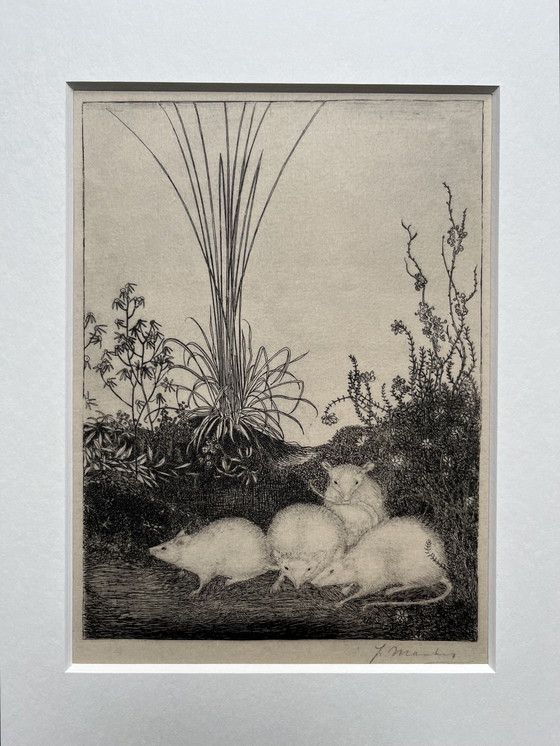 Image 1 of Jan Mankes 1889-1923 / Originele Heliogravure 4 Muizen 1923 (Mooi Ingelijst)