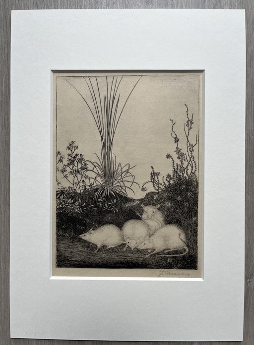 Jan Mankes 1889-1923 / Originele Heliogravure 4 Muizen 1923 (Mooi Ingelijst)