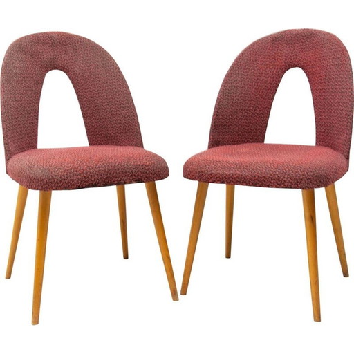 Paar vintage stoelen van stof en beukenhout van Antonín Šuman voor Tatra nábytok, Tsjecho-Slowakije 1960