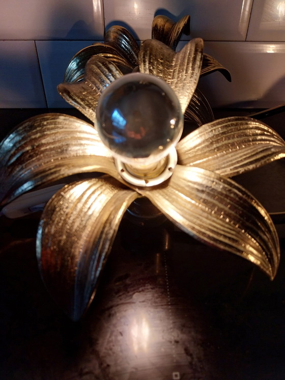 Image 1 of 2 X Willy Daro Wand/Plafondlamp 1960'S Voor Massive