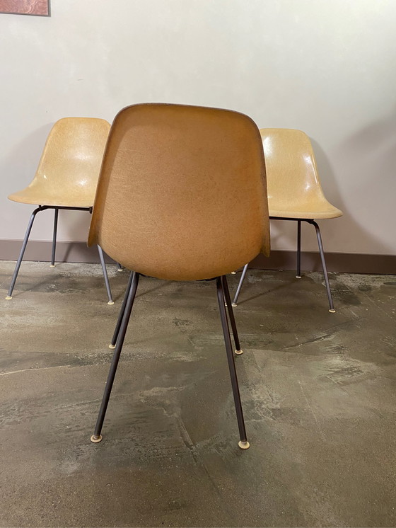 Image 1 of 4xVintage Eames/HermanMiller DSW