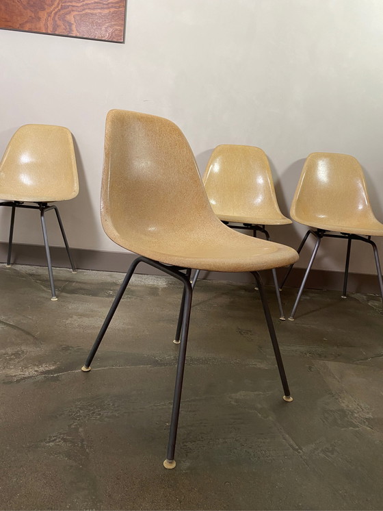 Image 1 of 4xVintage Eames/HermanMiller DSW