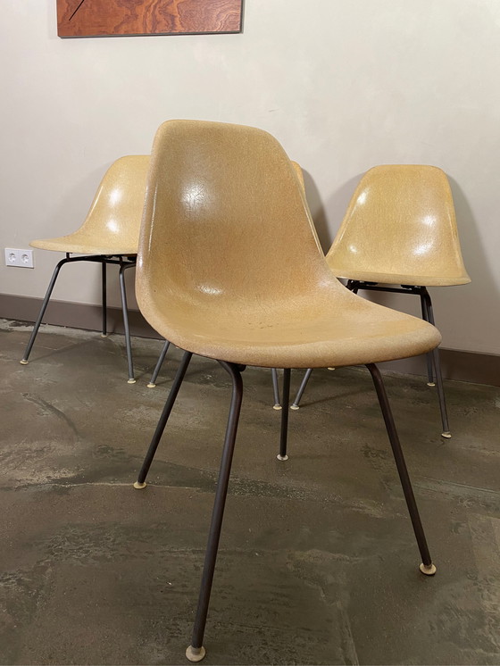 Image 1 of 4xVintage Eames/HermanMiller DSW