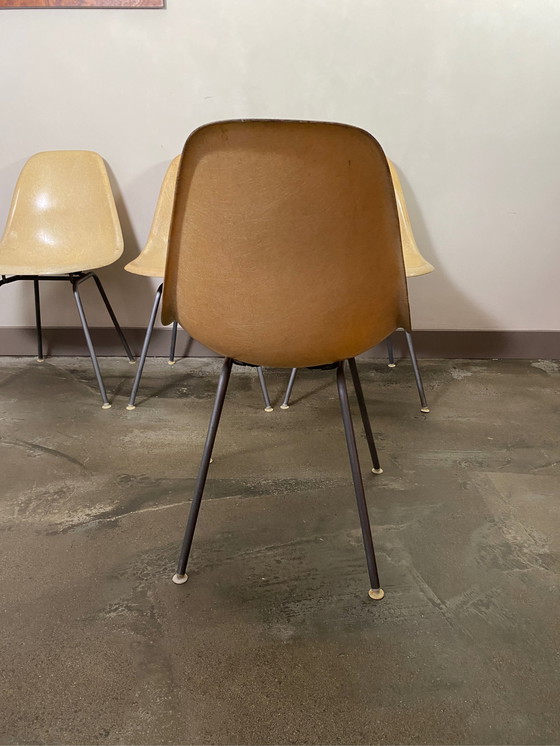 Image 1 of 4xVintage Eames/HermanMiller DSW