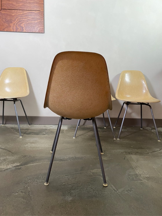 Image 1 of 4xVintage Eames/HermanMiller DSW