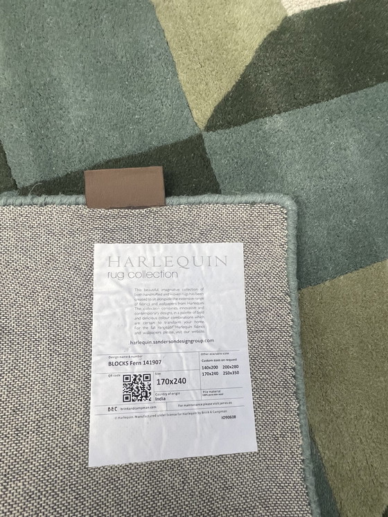 Image 1 of Brink & Campman Harlequin Blocks Fern