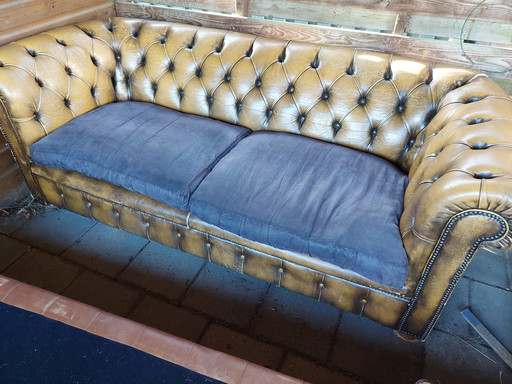 2,5 Zits Bank Chesterfield Bruin/Zwart