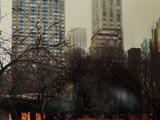 Image 1 of Christo & Jeanne Claude: “The Gates, Central Park, New York 1979-2005”.