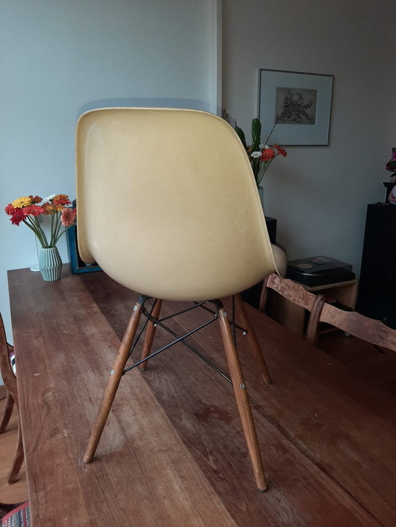 Image 1 of 4x Herman Miller/ Eames fiberglas stoelen