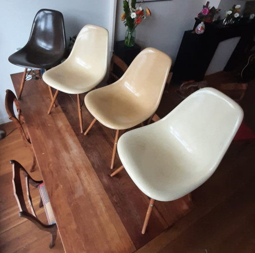 4x Herman Miller/ Eames fiberglas stoelen