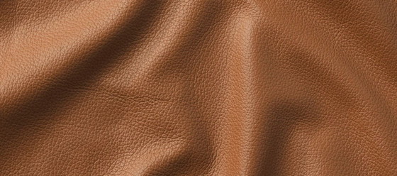 Image 1 of Adelaide Eetkamerstoel Met Draaifunctie. Poot Matwitte Structuurlak. Bekleding Caramelkleurig Nordic Grain Leer 5134