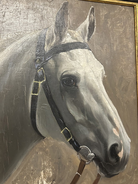 Image 1 of 2 Schilderijen Constant De Busschere (Pendant)  "Paardenportretten"