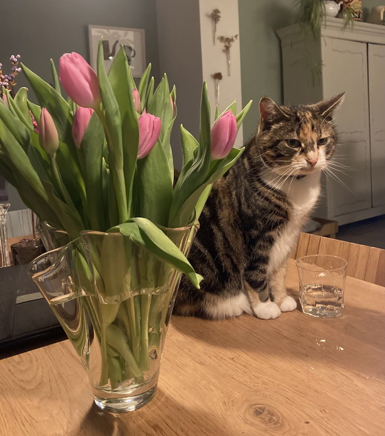 Image 1 of Waaiervaas Zakdoekvaas