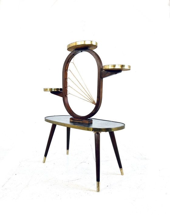 Image 1 of Vintage Formica Plantentafel Jaren ‘60