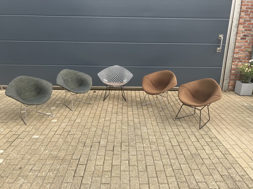 5x Knoll Bertoia Diamond chair upholstered