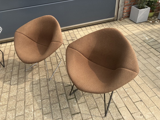 Image 1 of 5x Knoll Bertoia Diamond chair upholstered