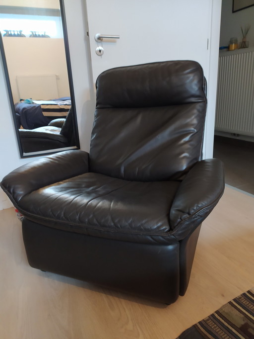 De Sede DS 49 Agarro fauteuil