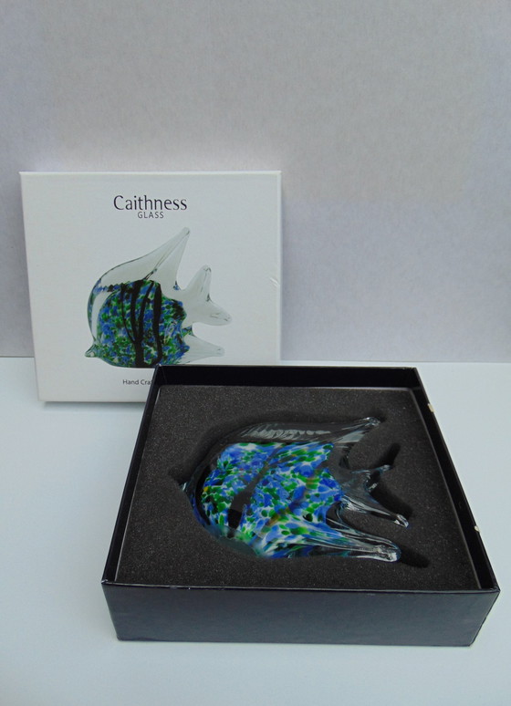 Image 1 of Caithness Glass - Vis