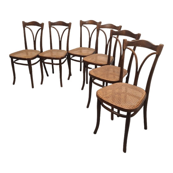 Image 1 of Thonet Eetkamerstoelen Met Webbing, Uit 1906