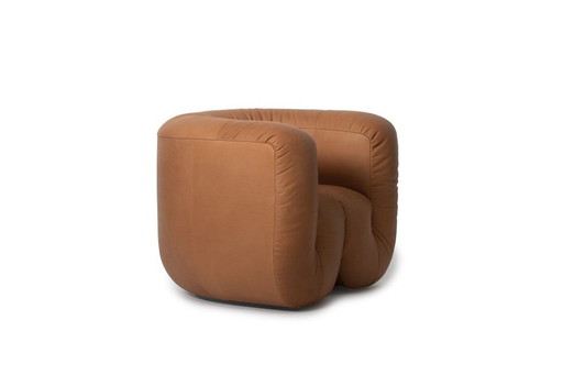 De Sede Ds 707 Canada Naturale Camel Design Fauteuil