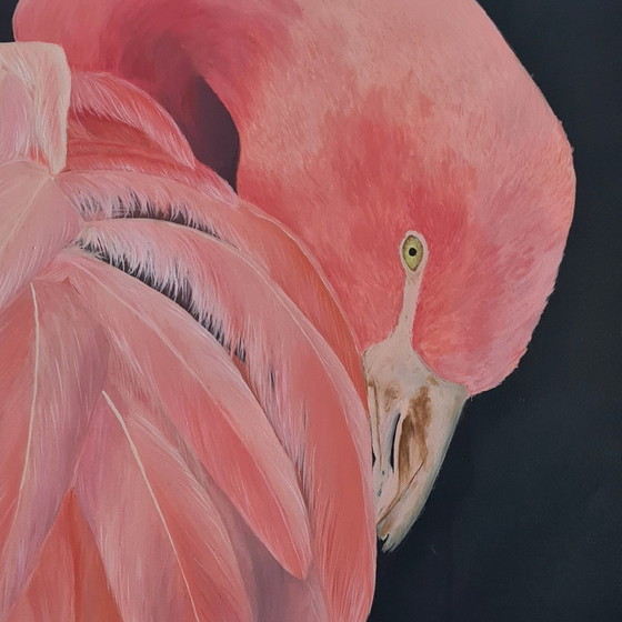 Image 1 of Acrylverf Schilderij Flamingo 50X70 Cm