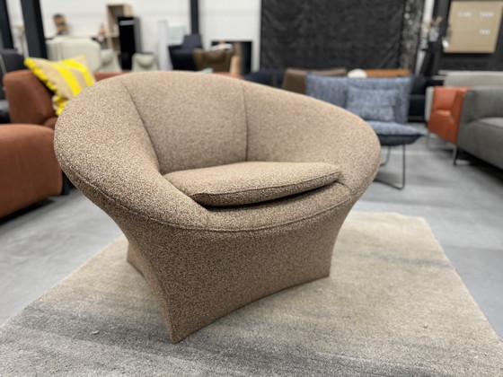 Image 1 of Label Ace Lounge fauteuil bouclé morro stof