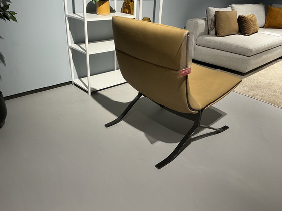 Image 1 of Eyye Juno Fauteuil Toonzaalmodel