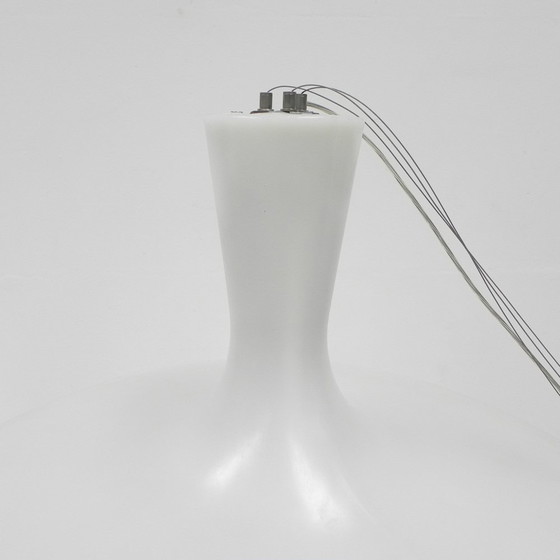 Image 1 of Dark design No fruit hanglamp  Anthony Duffeleer