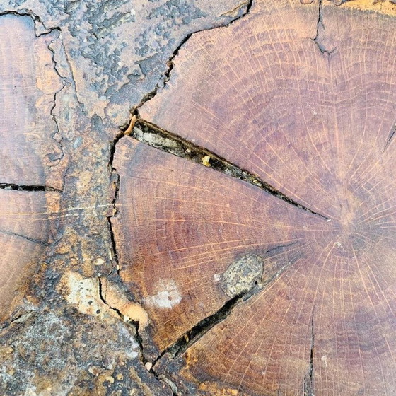 Image 1 of Vintage salontafel van hout en boomstammen