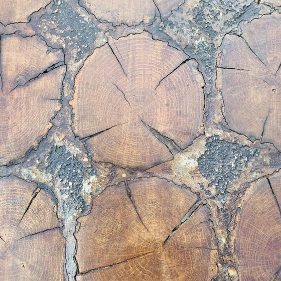 Image 1 of Vintage salontafel van hout en boomstammen