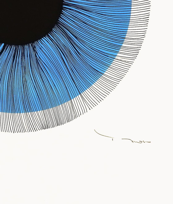 Image 1 of Tehos - Zwart Oog C02 - 2024