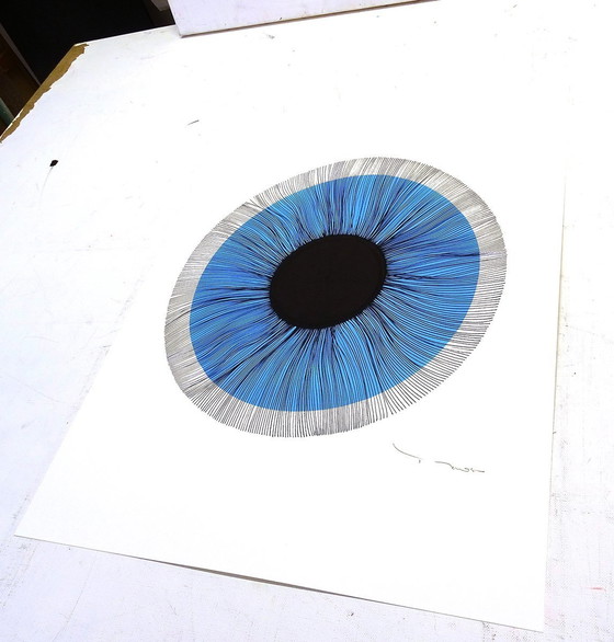 Image 1 of Tehos - Zwart Oog C02 - 2024