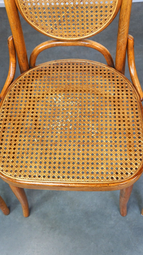 Image 1 of 6 x hoge vintage lichtbruine bentwood Thonet stoel model “lange Jan/ Long John”