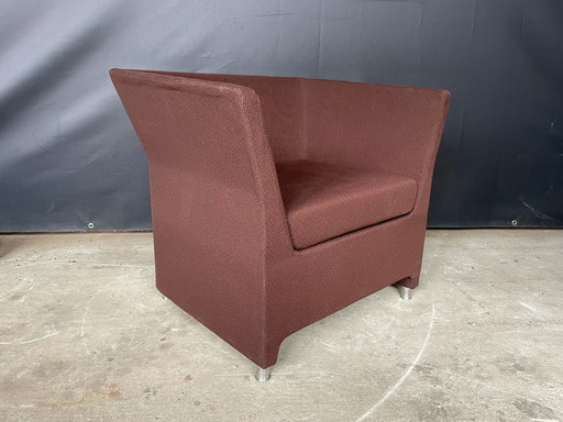 Boss design Tub Chair