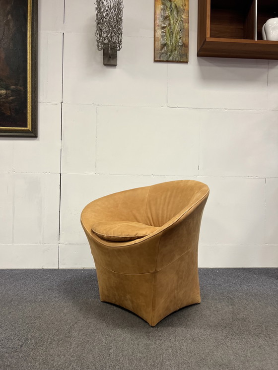 Image 1 of Label van den berg Ace Fauteuil Cognac leer