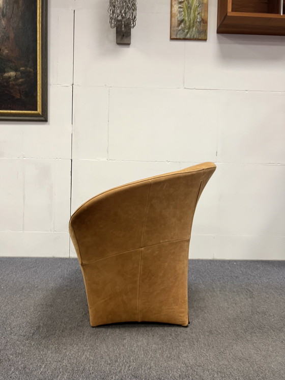 Image 1 of Label van den berg Ace Fauteuil Cognac leer