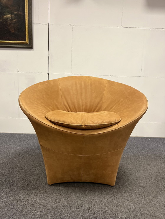 Image 1 of Label van den berg Ace Fauteuil Cognac leer