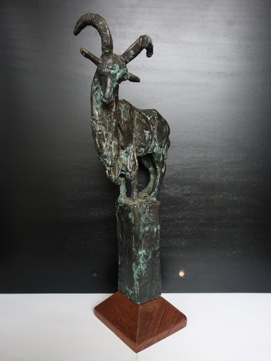 Image 1 of Karel Gomes Bronzen Berggeit