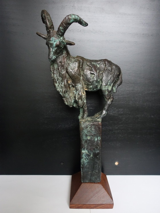 Image 1 of Karel Gomes Bronzen Berggeit