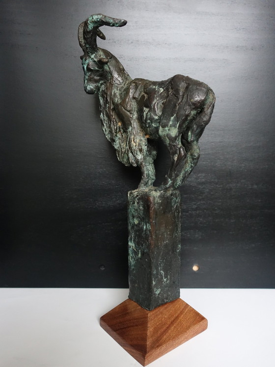 Image 1 of Karel Gomes Bronzen Berggeit