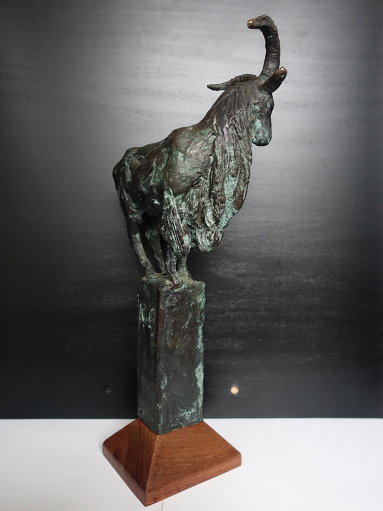 Image 1 of Karel Gomes Bronzen Berggeit