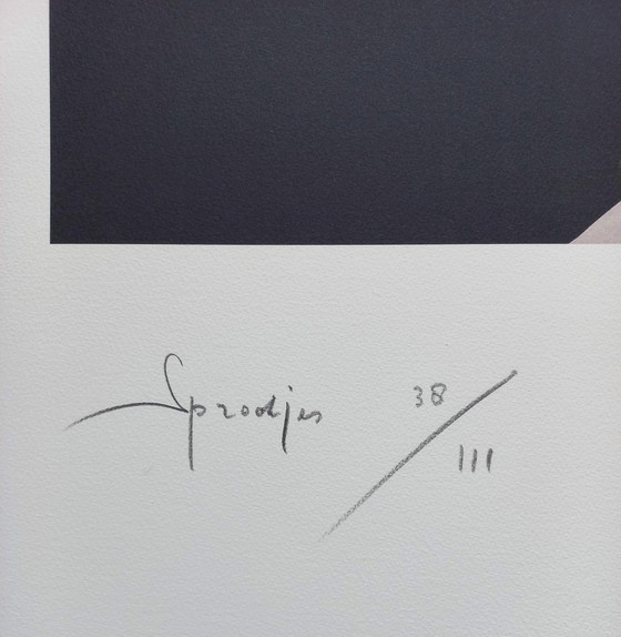 Image 1 of Rob Scholte - Sprookjes, Zeefdruk (Groot!)