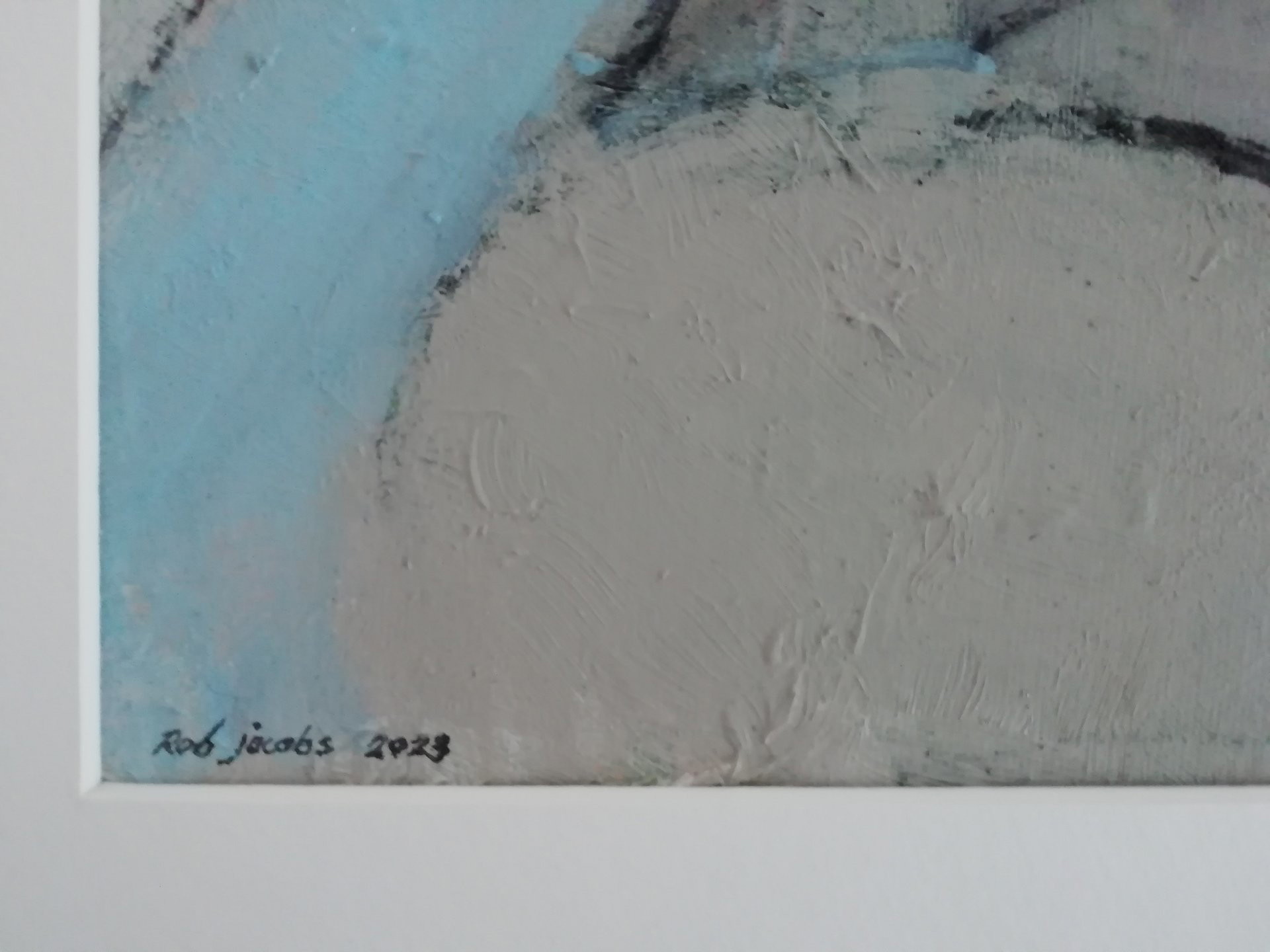 Rob Jacobs " plastic surgery " € 199 Whoppah