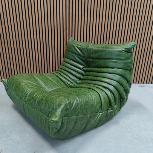 Ligne Roset Togo Dubai Green Leder