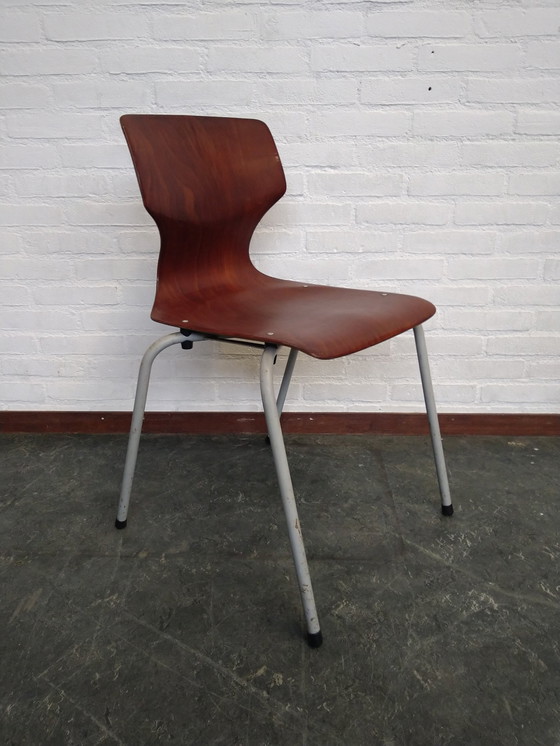 Image 1 of  4X Stoelen Van Flötotto  Pagholz