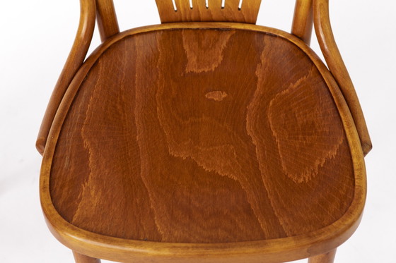 Image 1 of Vintage stoelen van Radomsko Zmg, Polen, Bentwood, Beuken, 1970S
