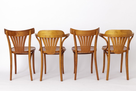 Image 1 of Vintage stoelen van Radomsko Zmg, Polen, Bentwood, Beuken, 1970S