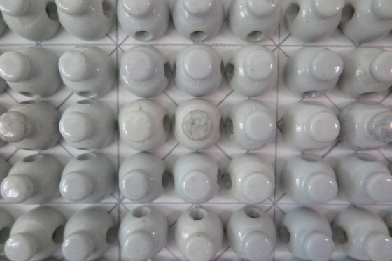 Image 1 of Doppenformatie