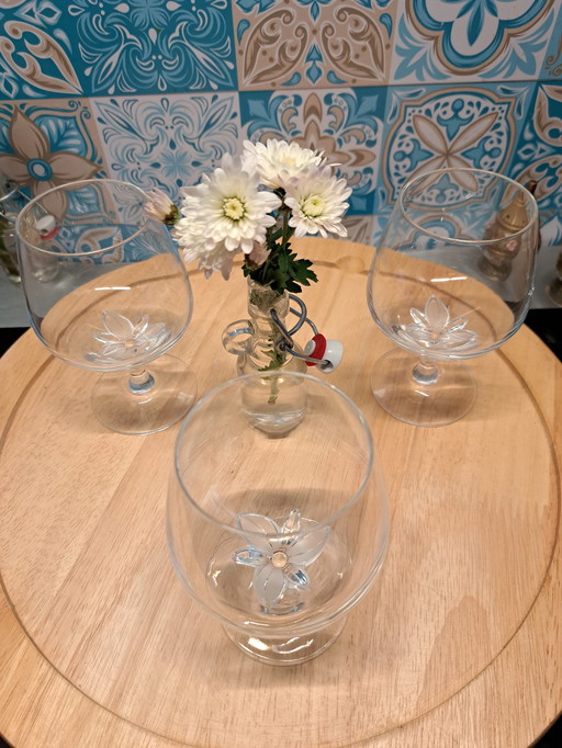 Schott Zwiesel La Fleur Servies Set